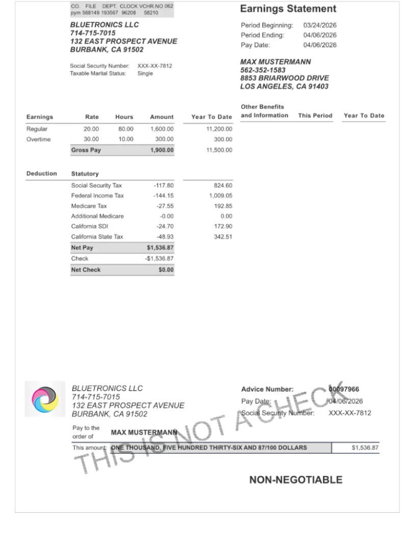 Classic professional paystub template design preview