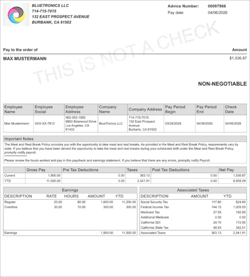 Simple black and white paystub template design preview
