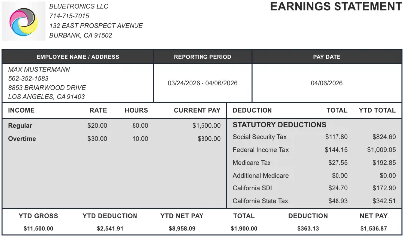 Compact employee check stub template design preview