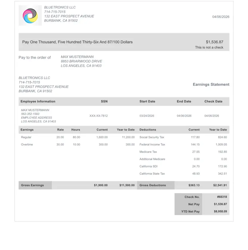 Detailed breakdown pay stub template design preview